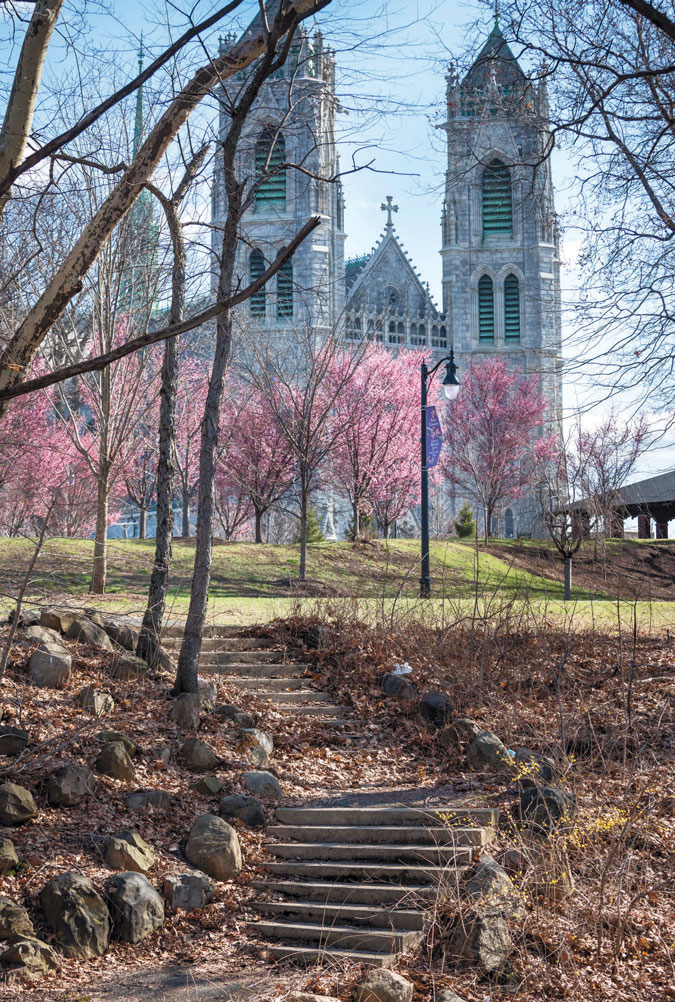 Cathedral Basilica of the Sacred Heart with cherry blossoms viewed from Branch Brook Park