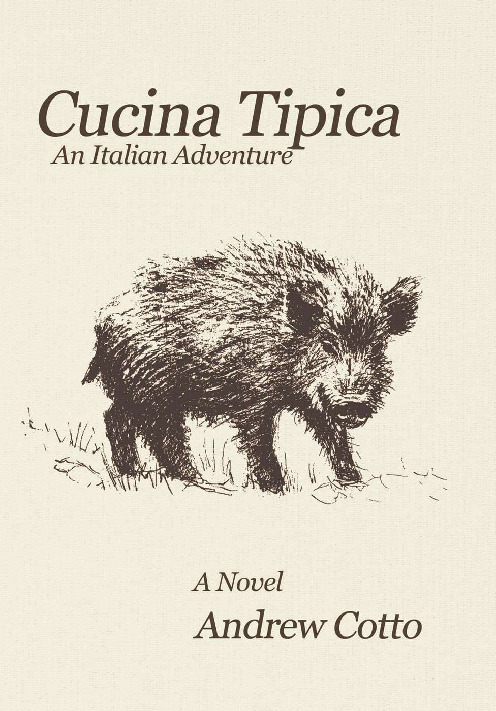 Cucina Tipica book