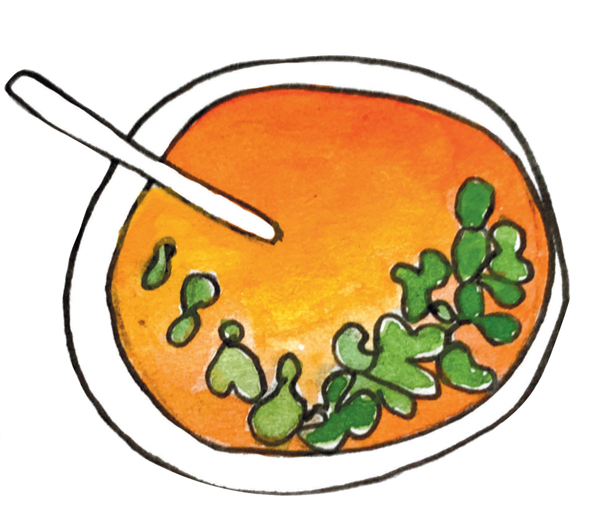 carrot soup illustration