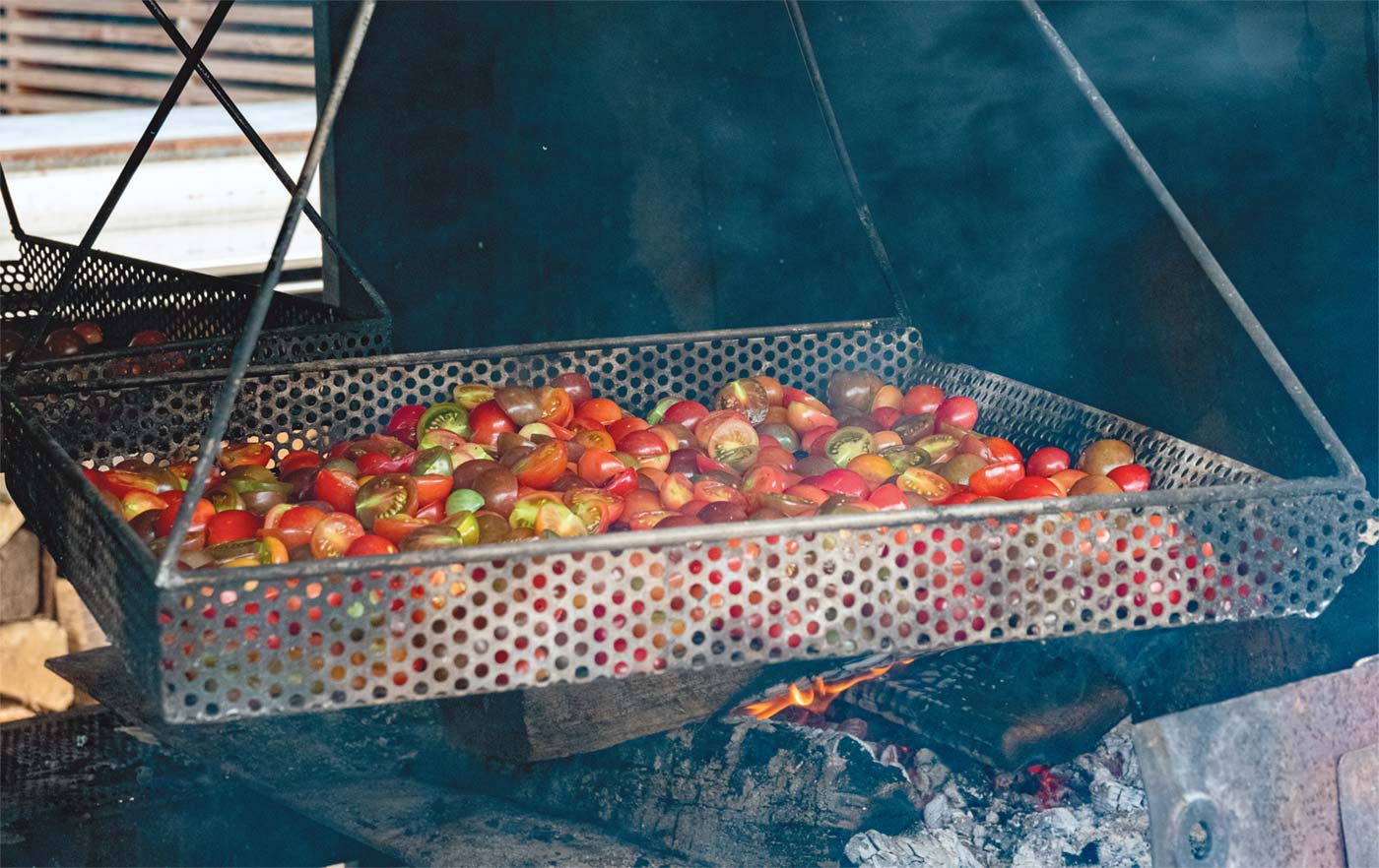 grilling tomatoes