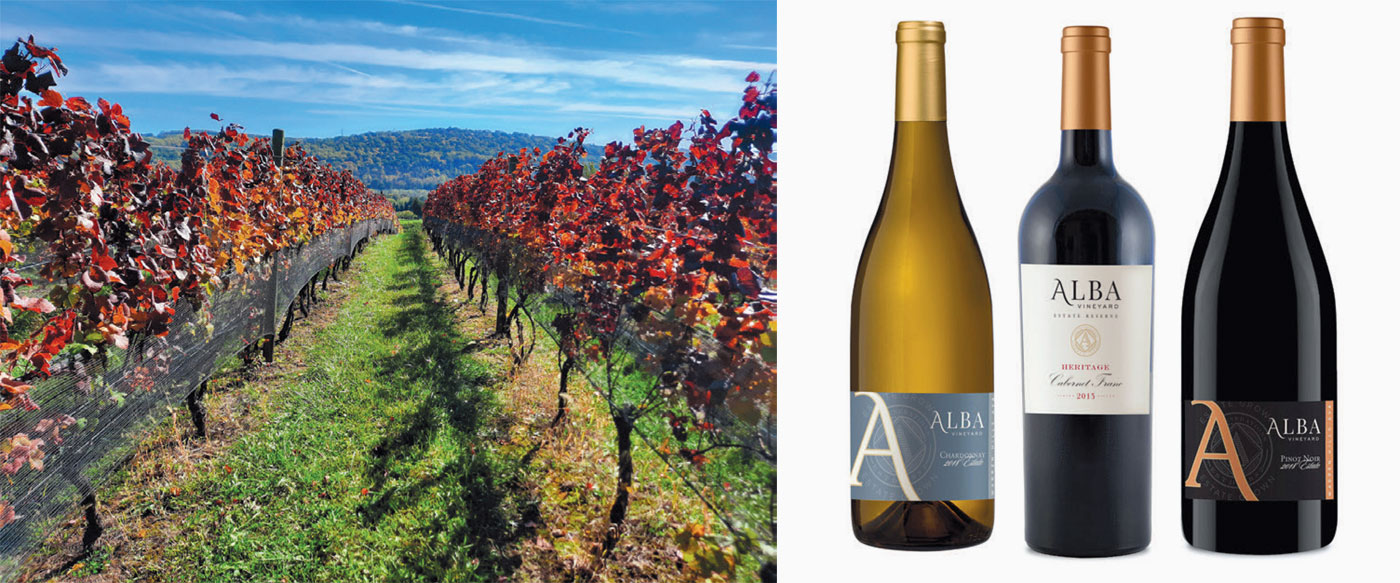 Alba Vineyards and wine selection