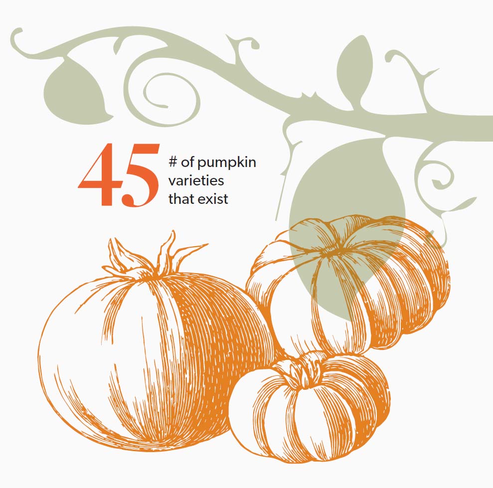 45 varieties of pumpkins