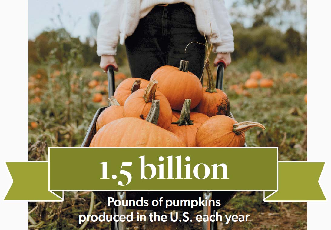 1.5 billion pounds of U.S. pumpkins