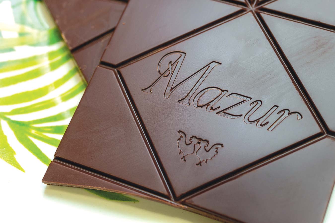 Mazur chocolate bars