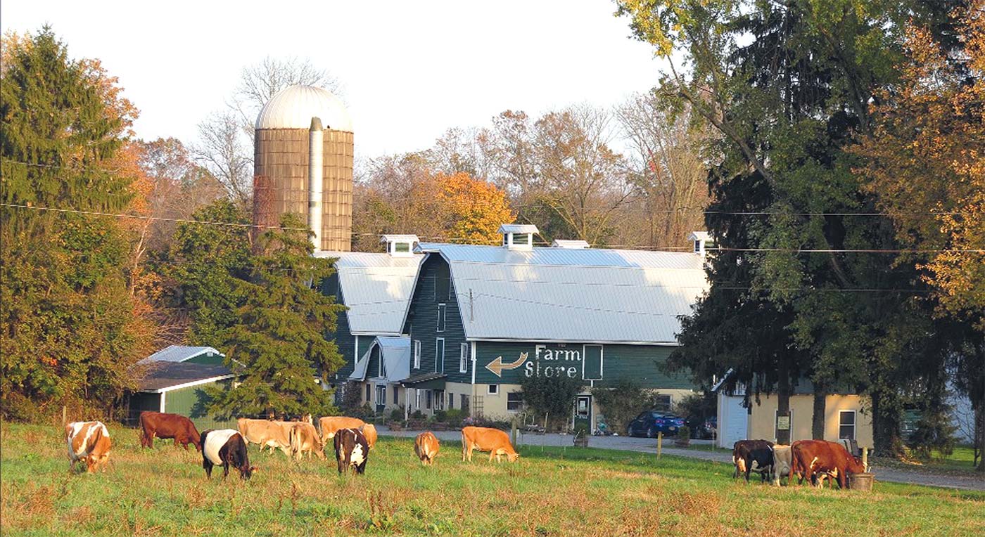 New Jersey farm store