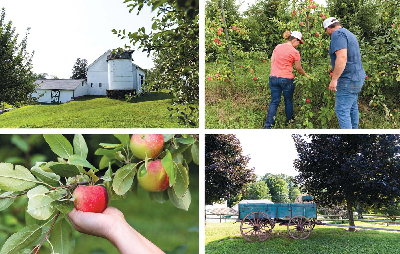 scenes from Riamede Farm