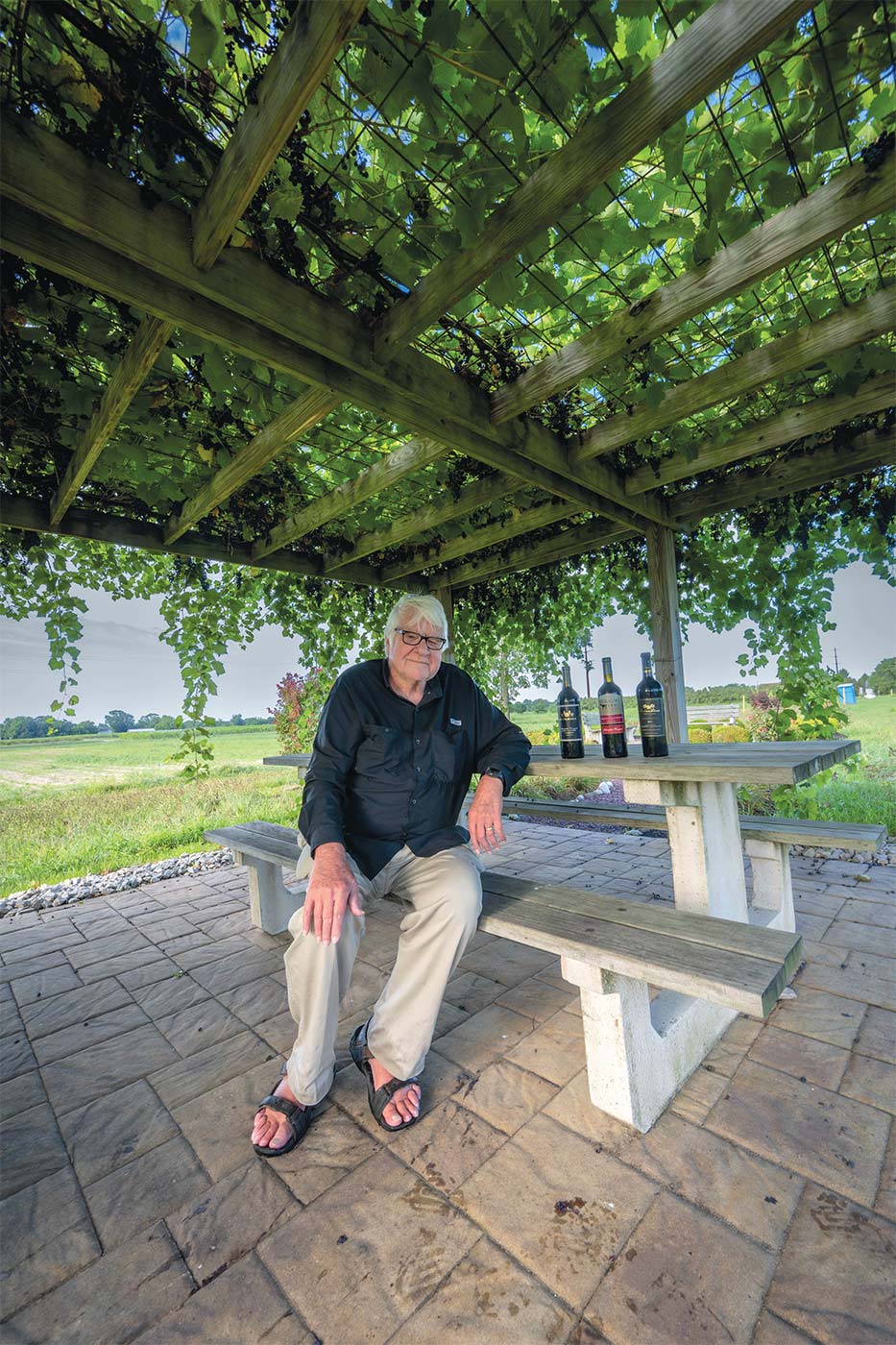 Orley sitting under the grape arbor