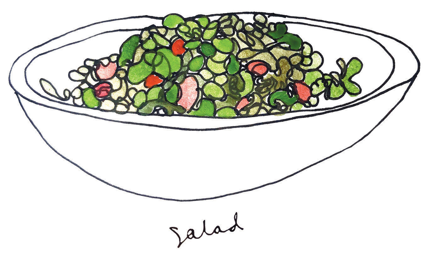 lima bean salad illustration