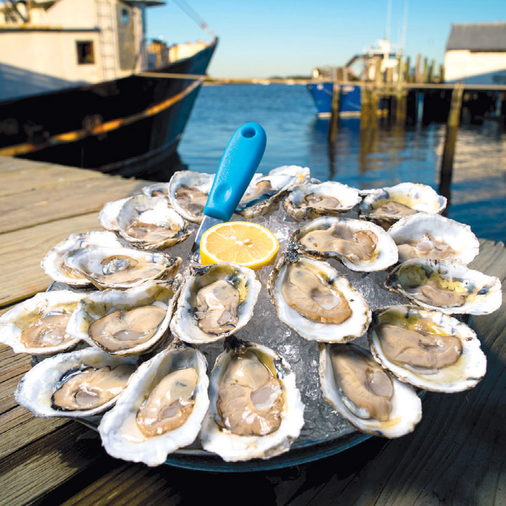 Cape May Salt Oysters