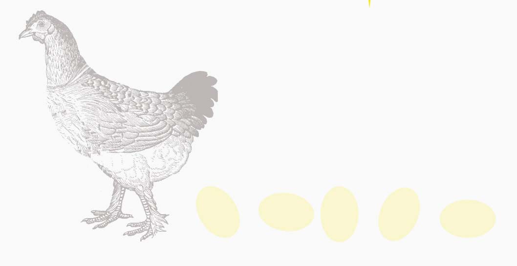 Chicken with eggs illlustration