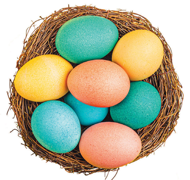 colorful easter eggs in a nest