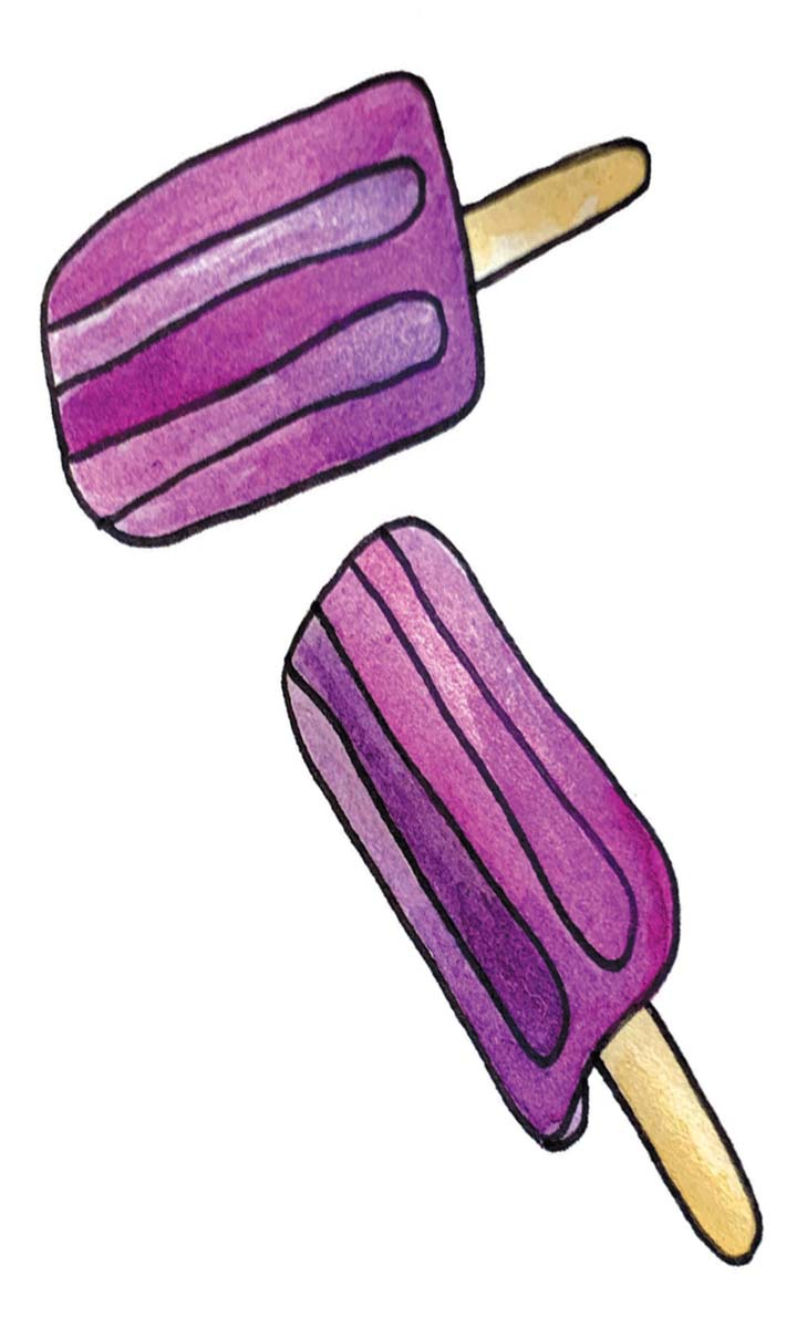 blueberry popsicles