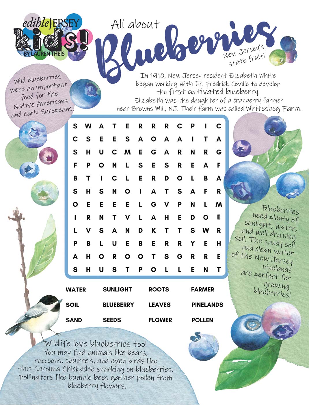 puzzle for kids featuring blueberries