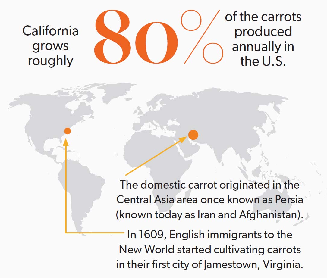 chart showing what regions carrots are gorwn in