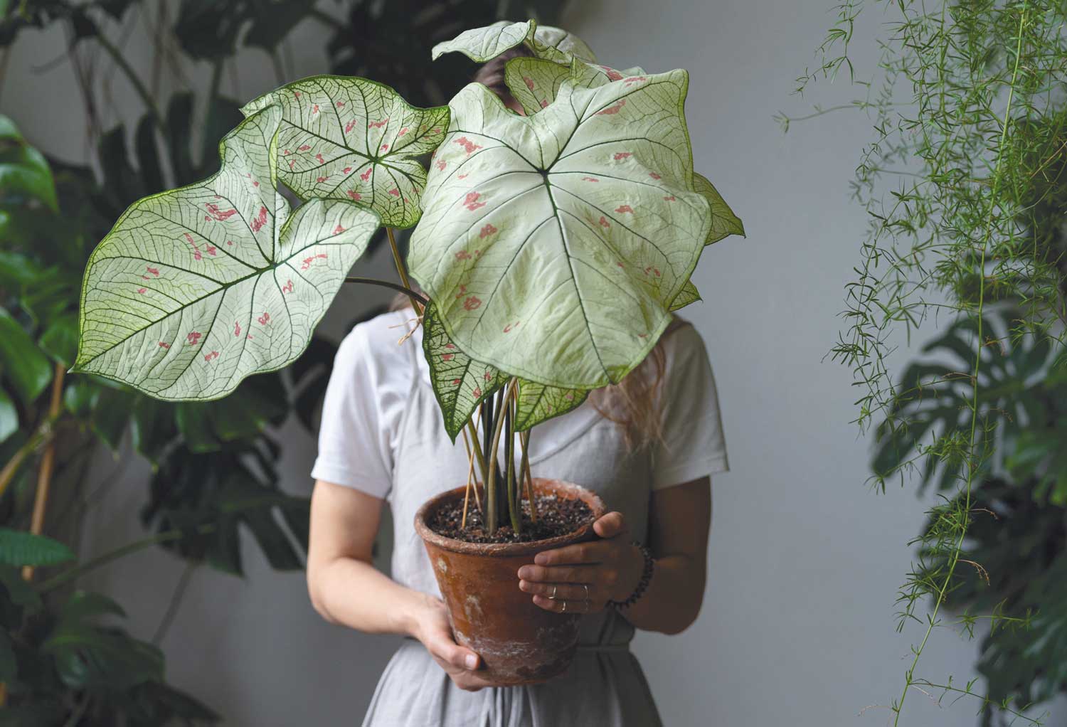 woman hiding her face behind a potted plant