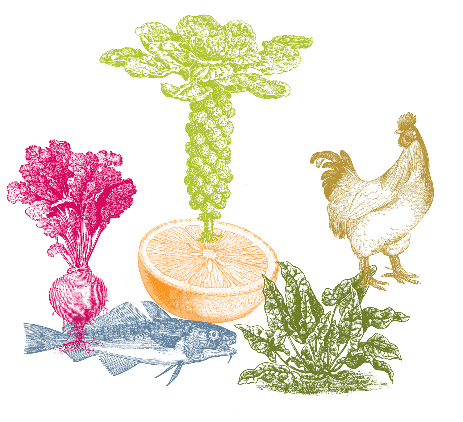 illustration of healthy food