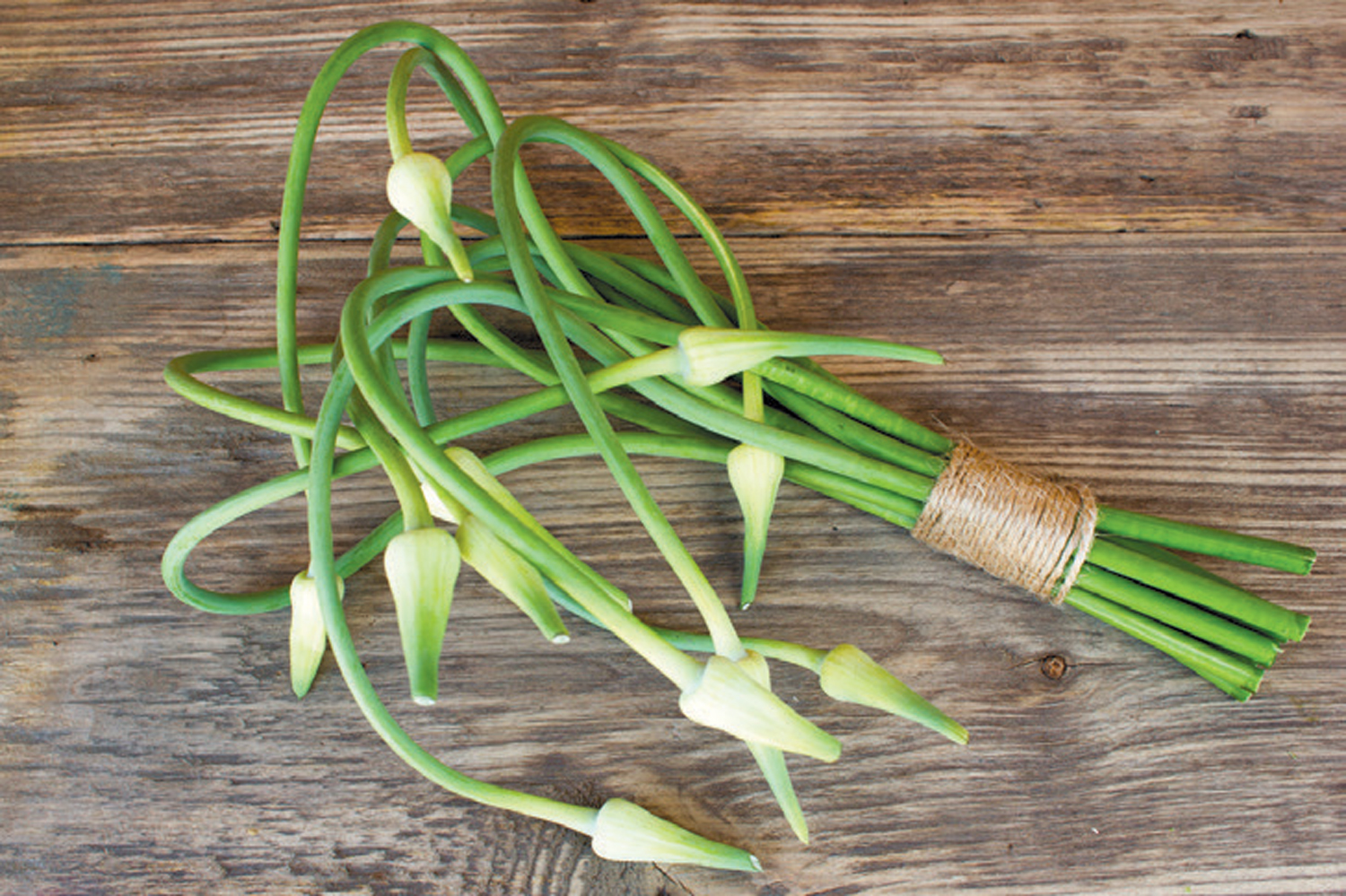 Edible Health: Garlic Scapes
