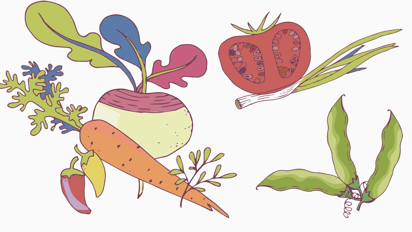graphic of a selection of vegetables