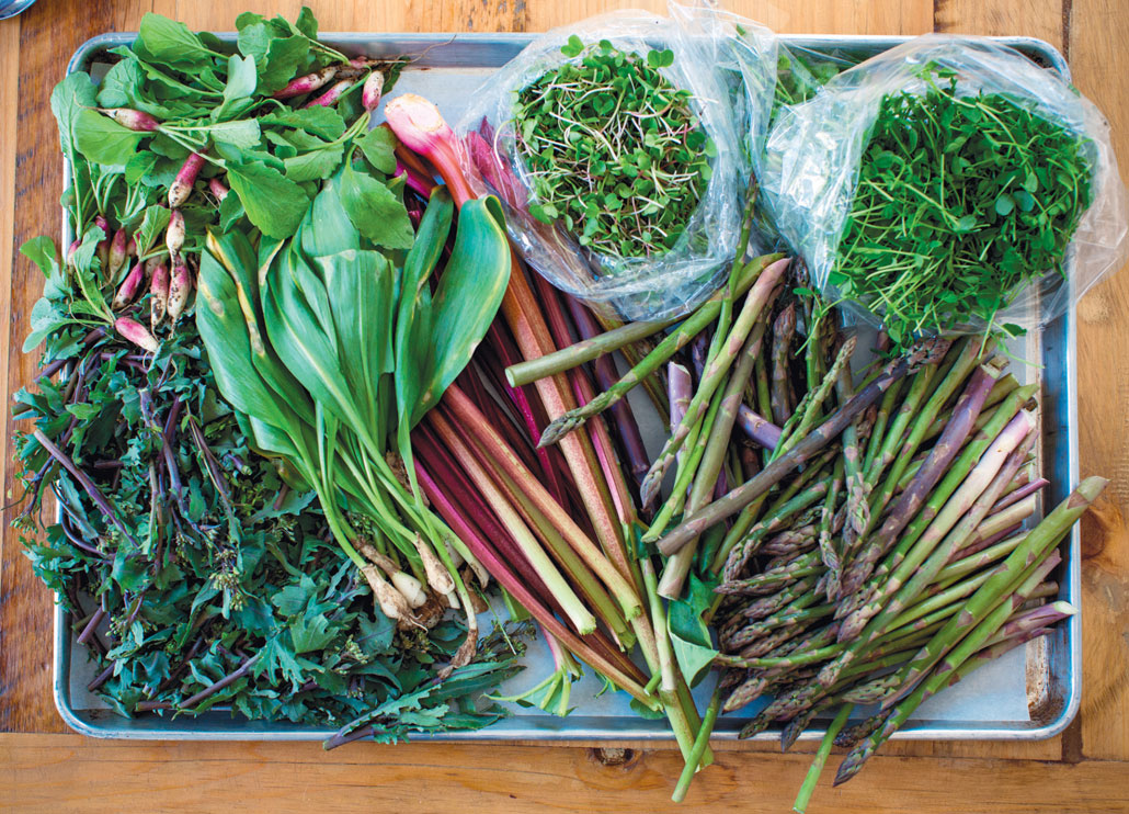 asparagus, rhubarb and greens