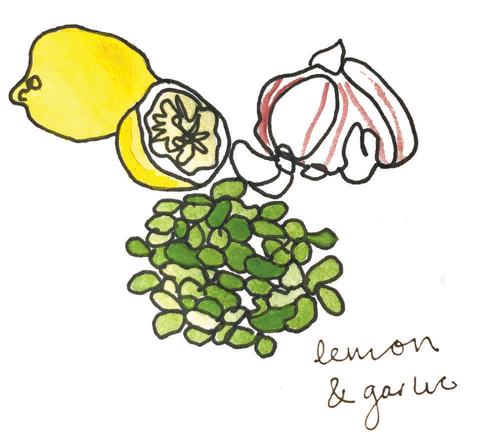 lemon and garlic with lima beans illustration