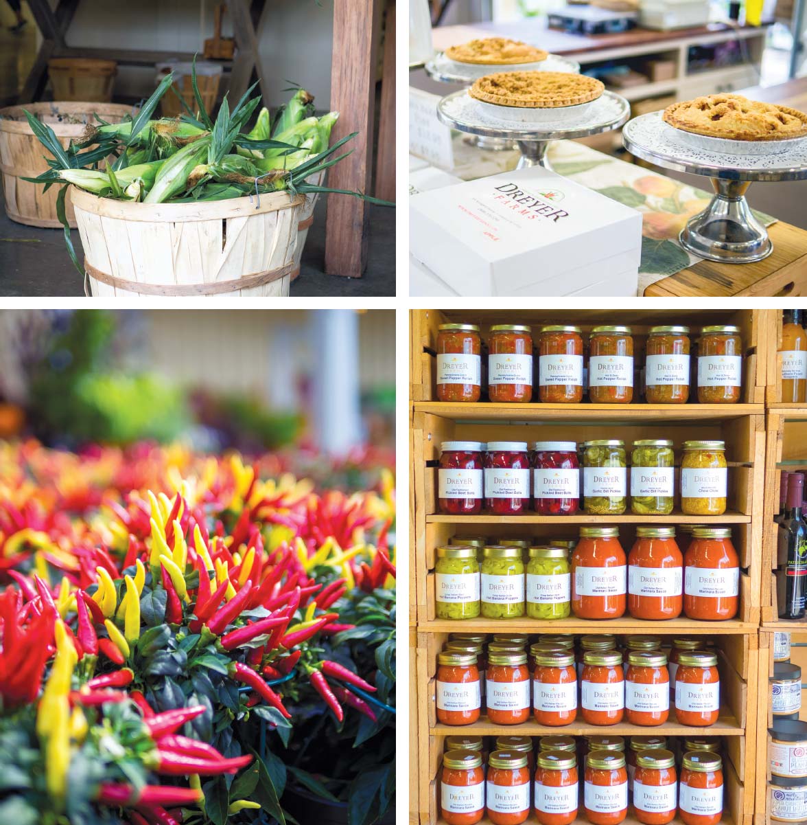 clockwise from left: barrel of unshucked corn; selection of Dreyer Farms pies; selection of Dreyer Farms canned goods arranged on shelves; red and yellow peppers