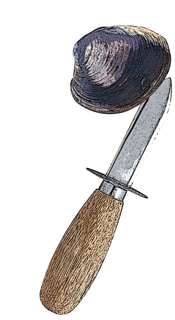 drawing of a knife opening a clam