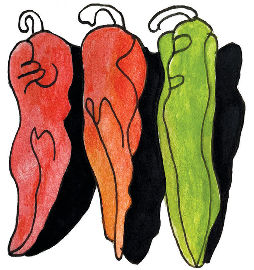 Illustration of raw sweet peppers