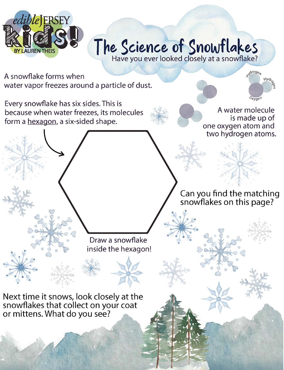 Fun For Kids - The Science Of Snowflakes | Edible Jersey