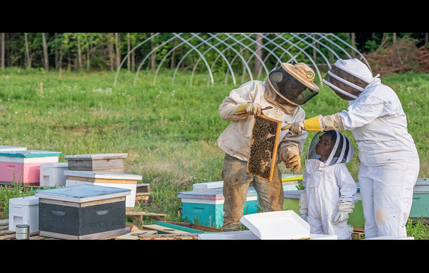 Bee-ginner's Beekeeping