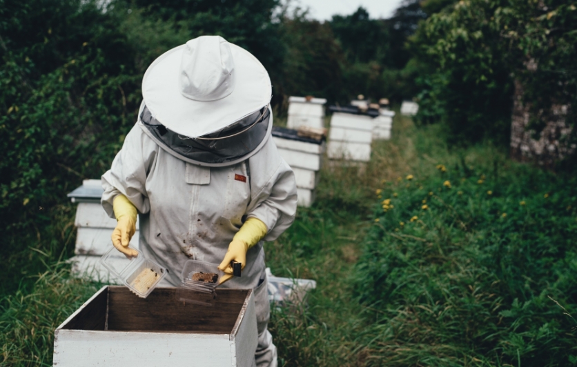 Beekeeping courses at Rutgers University 