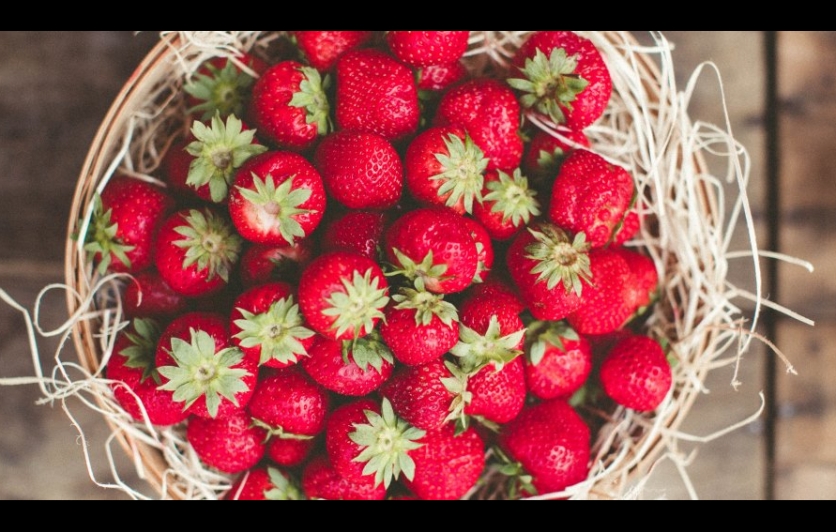 Celebrate the season's strawberry harvest at the historic farm!
