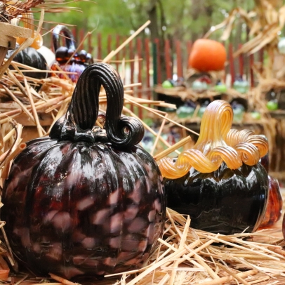 Image of the WheatonArts Glass Pumpkin Patch. A variety of glass pumpkins sit within the patch on top of a wooden surface, that is covered with straw.