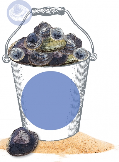 drawing of a bucket of clams