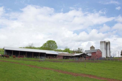 The Farm at Tullamore