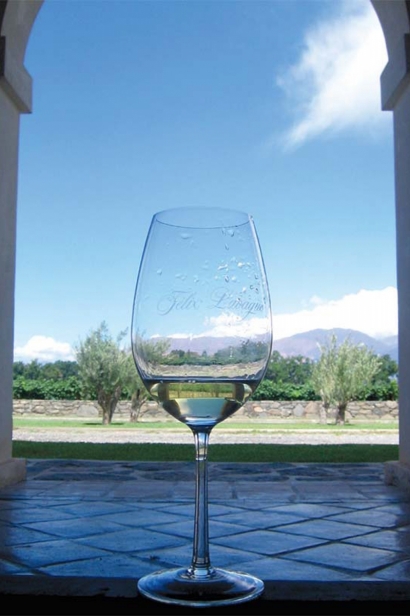glass of wine in vineyard