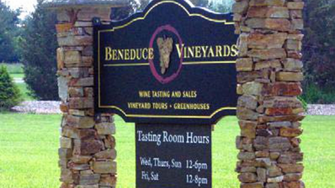 Beneduce Vineyards