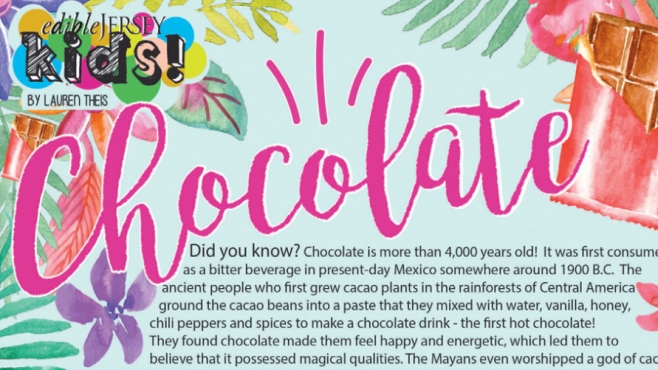 information and puzzles about chocolate for kids