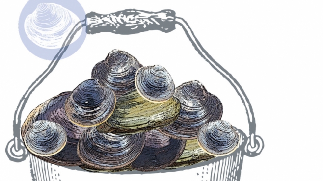 drawing of a bucket of clams