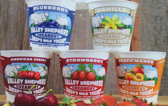 A selection of sheep milks yogurt from Valley Shepherd Creamery