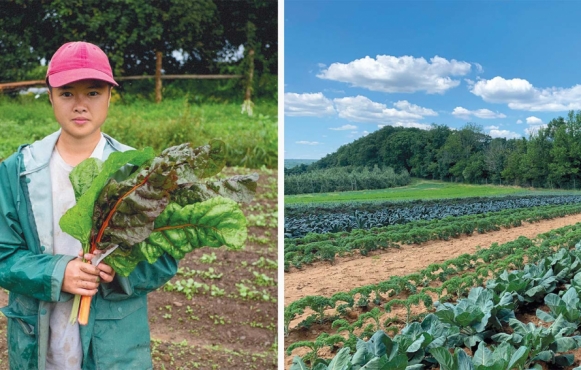 Left: The CSG at Genesis Farm; Right: Alstede Farms