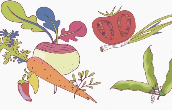 graphic of a selection of vegetables
