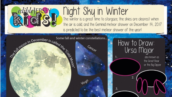 Edible Jersey Kids: Night Sky in Winter