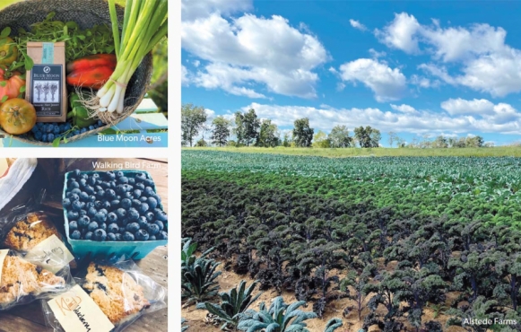 New Jersey farms with spring CSA programs