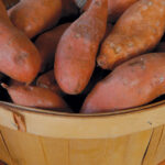 sweet potatoes