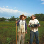 experimental farm network