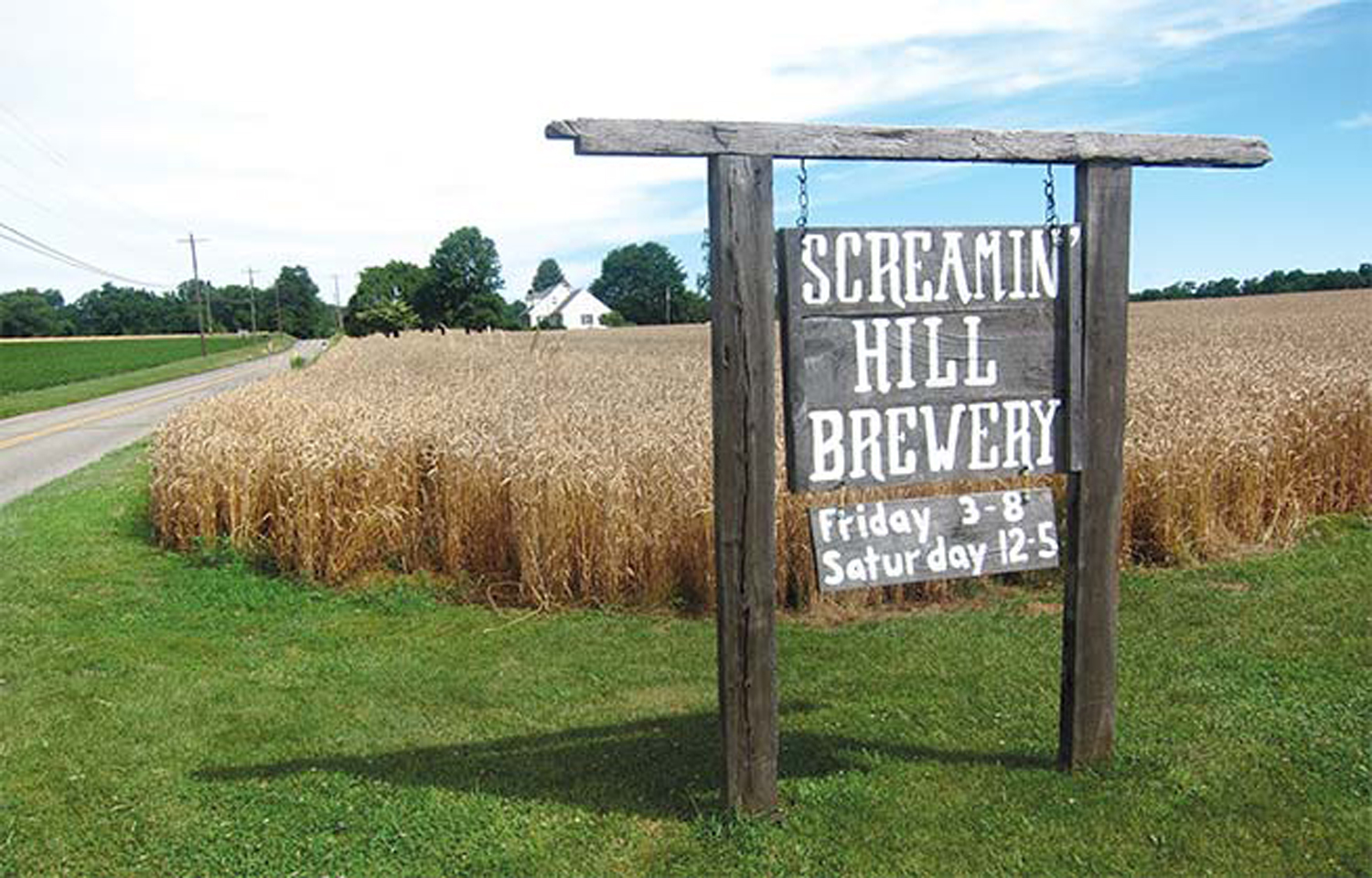 screamin hill brewery