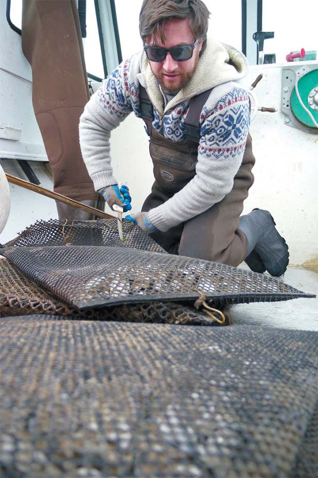 Matt Greg, a NJ oyster farmer