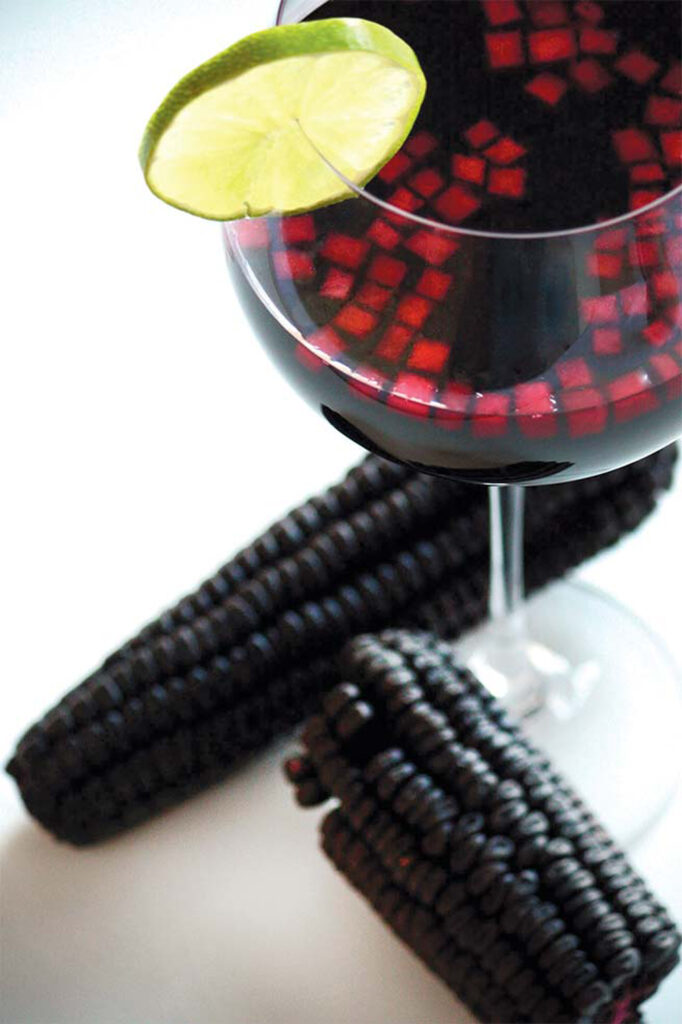 runa peruvian cuisine