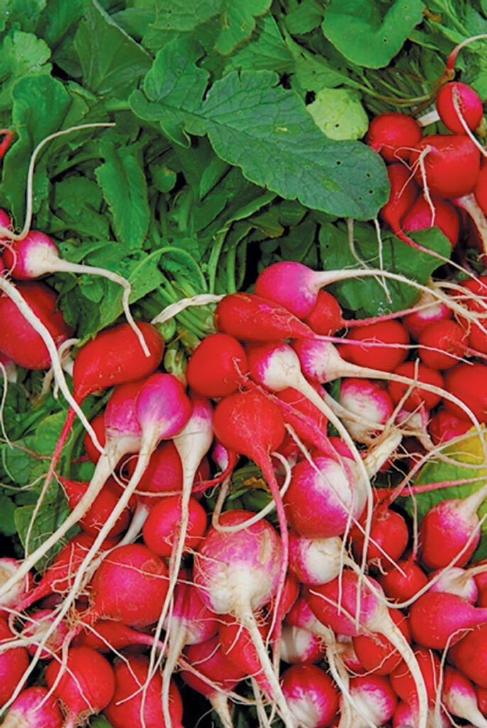 farmers-market-radishes.jpg