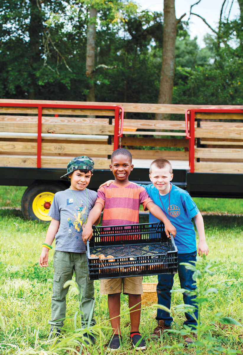 Adrian Lopez, 7, Ethan Davis, 7, and Anthony Salkauski, 8, carry freshly harvested potatoes at Gravity Hill Farm.